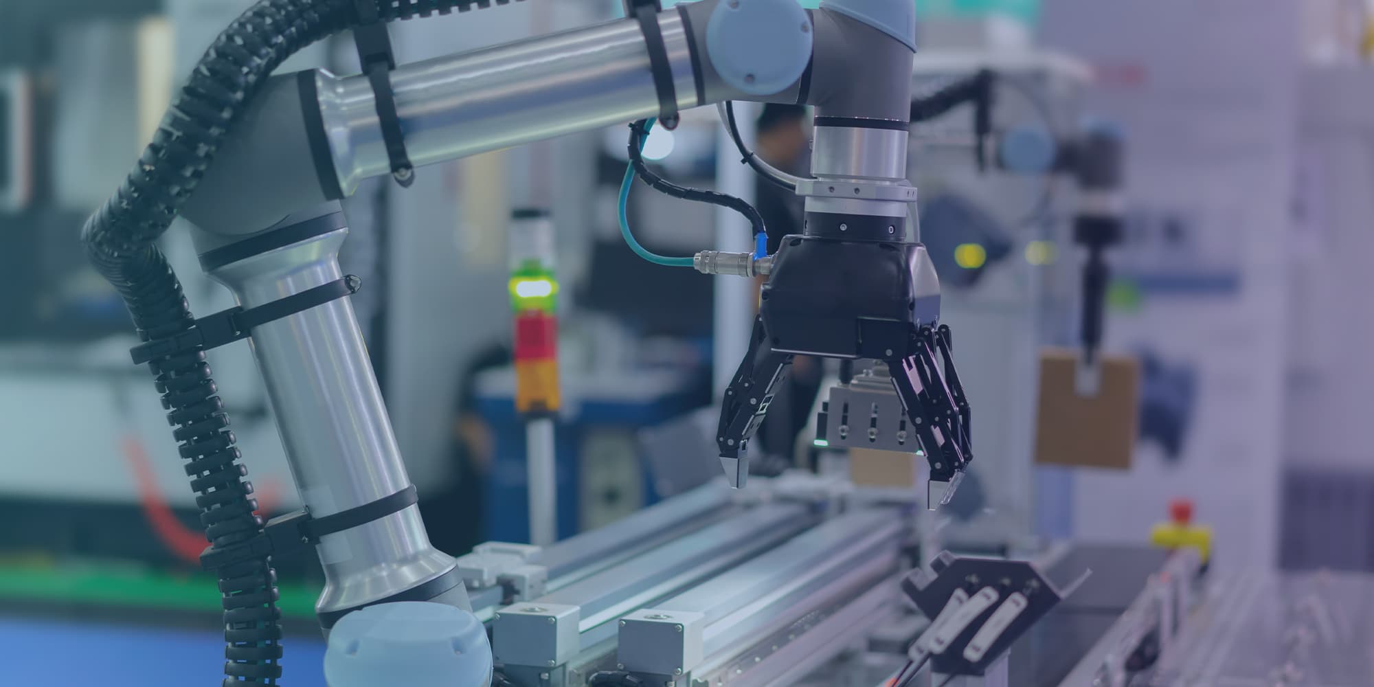 foodsorting_gradient Robotic arm above a conveyor in an automated food-sorting line