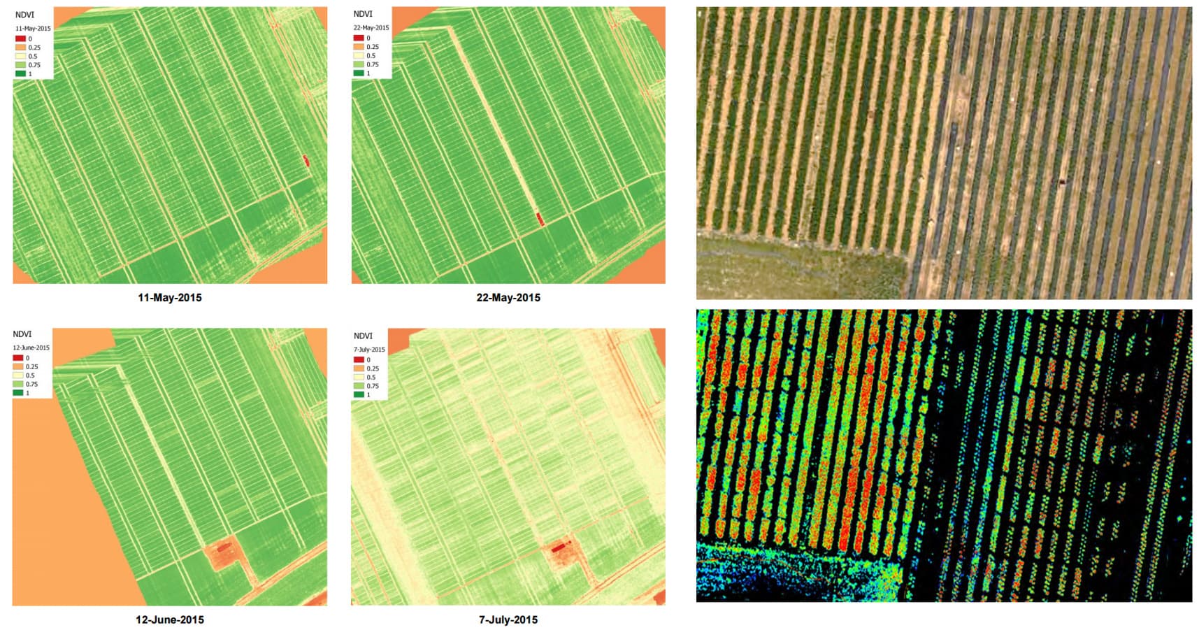hyperspectral%20imaging%20precision%20farming%20UAV%20VITO Aerial view of strawberry test fields shown as NDVI and hyperspectral maps