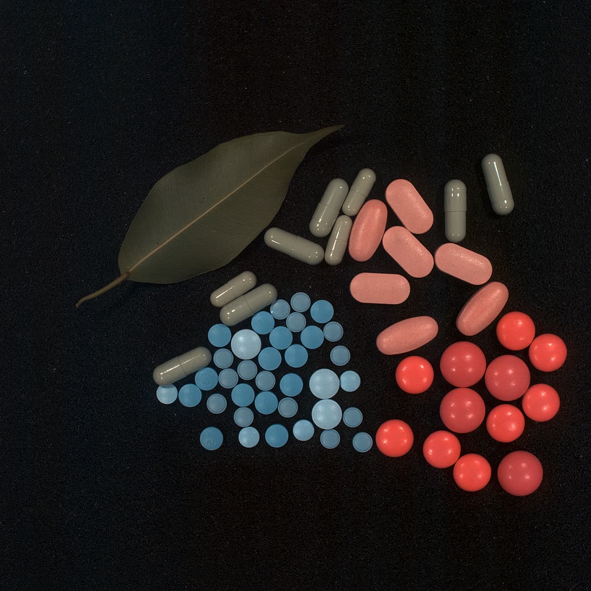 pharma_pills-green_leaves Various colored pills and capsules arranged beside a green leaf on a dark background