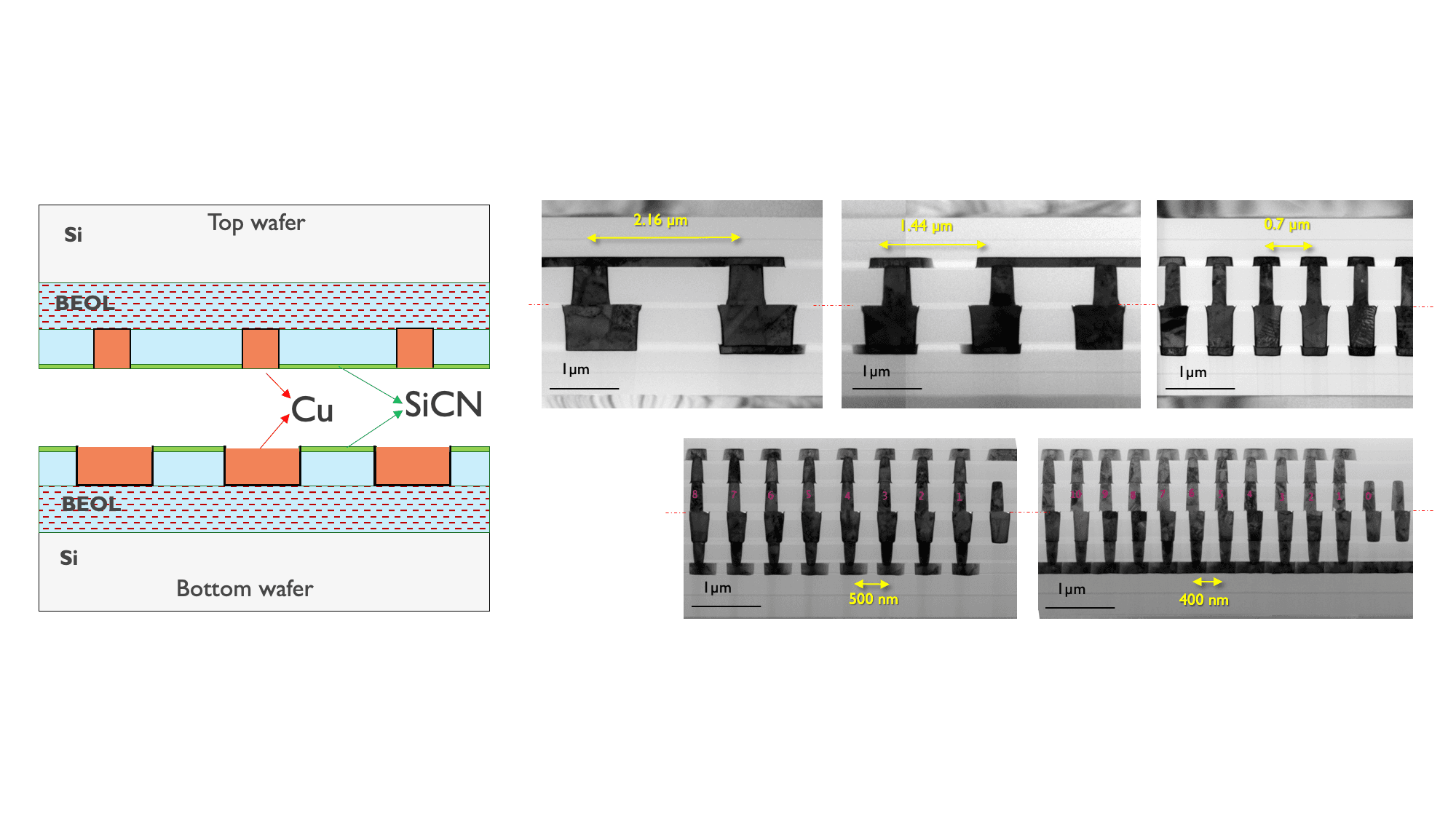 Diagram of wafer-to-wafer hybrid bonding with Cu and SiCN Diagram and microscope cross-sections showing wafer-to-wafer hybrid bonding with Cu interconnects and SiCN, down to 400 nm pitch.