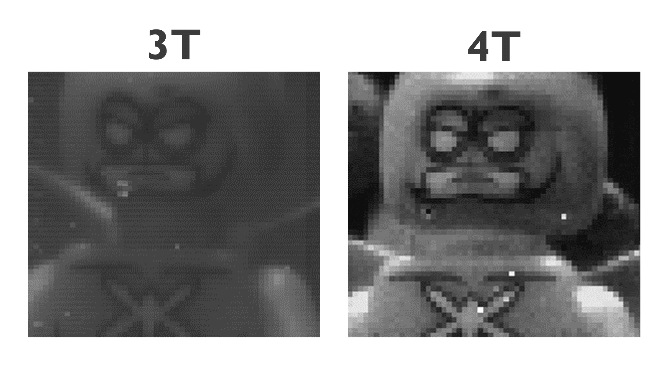 3T_4T_comparison_1 Side-by-side comparison of 3T and 4T pixel images, with the 4T version showing clearer detail.