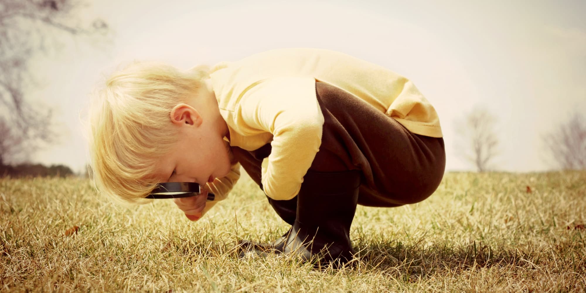 5.-finding-the-needle-in-the-haystack_1 A young child crouches in a grassy field, looking closely through a magnifying glass.
