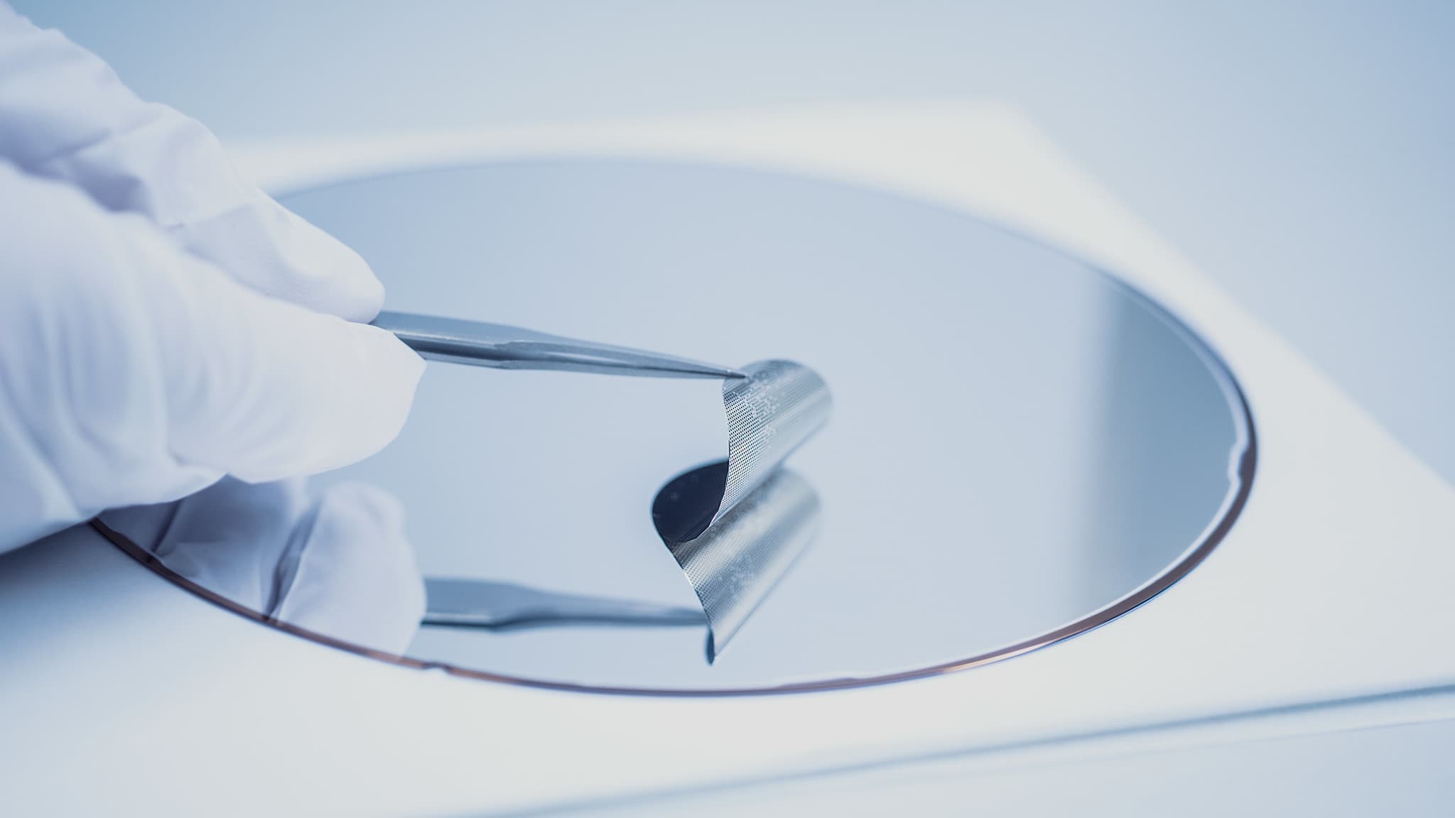 51939504058_f606d5fa0d_k Gehandschoende hand die een pincet boven een dun geperforeerd nanomeshvel houdt in een schone laboratoriumomgeving