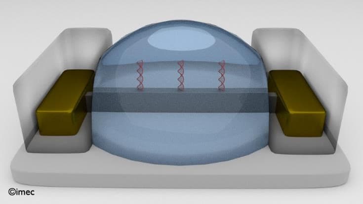 3D rendering of a FinFET biosensor with DNA molecules 3D-weergave van een FinFET-biosensor met DNA-moleculen bevestigd aan het sensoroppervlak
