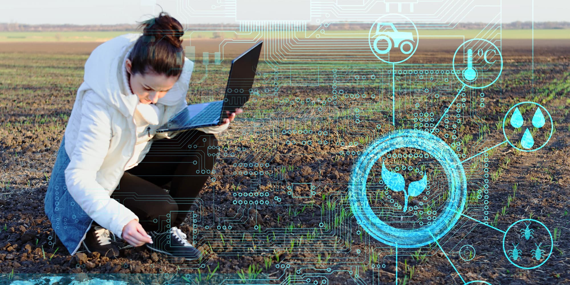 Agrifood-technology Researcher crouches in a field using a laptop, overlaid with digital agrifood icons and circuit patterns.