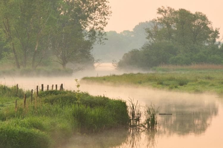 banner_hp_blankaart_yvesadams_vilda_0 Misty river winding through De Blankaart nature reserve at sunrise, with trees and grassy banks reflected in the water