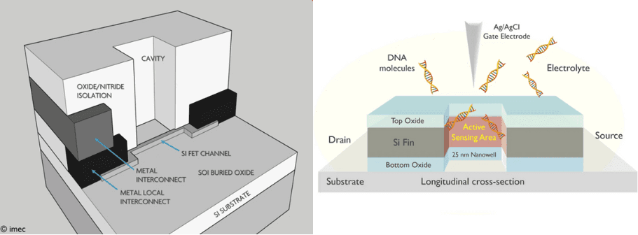 Bio-finFET_nanowell-FET Diagram comparing a bio-FinFET and a nanowell FET, showing DNA molecules entering the sensing area.
