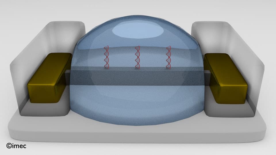 bioFET%20header 3D rendering of a finFET biosensor with red DNA strands and gold contacts