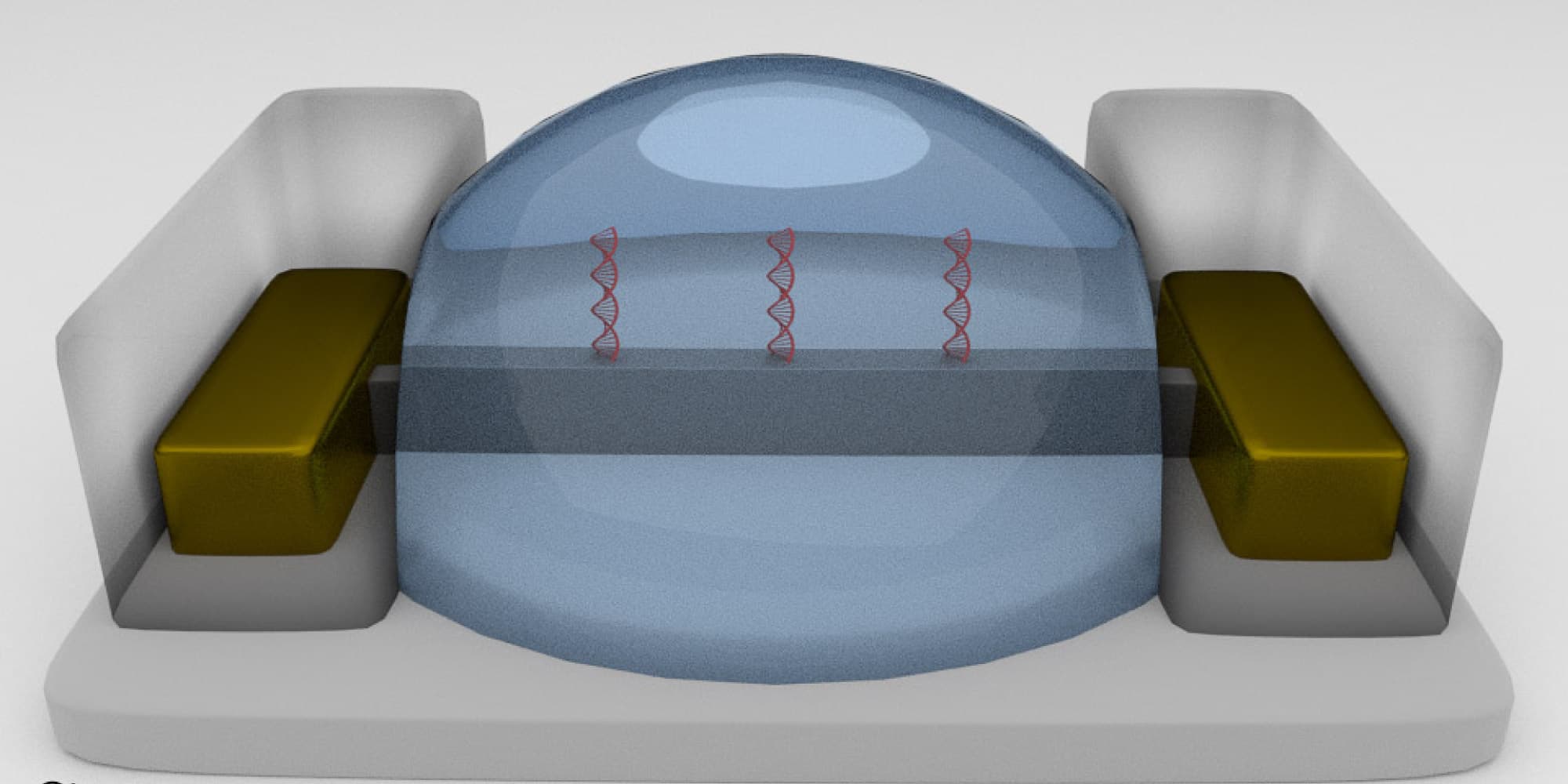 biofet-header 3D rendering of a biosensor chip with a blue dome-like sensing layer and red DNA strands between contacts