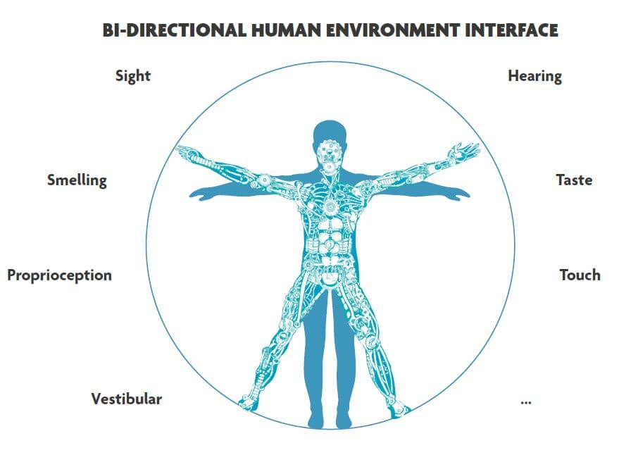 Diagram of human senses and environment interface Diagram of a human figure surrounded by labels for sight, hearing, taste, touch, smell, proprioception, and vestibular sense.