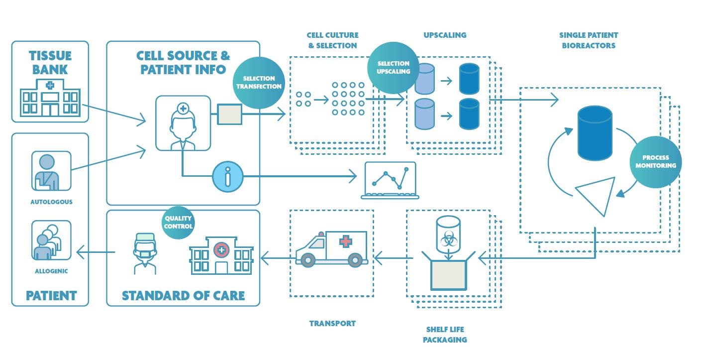 CAR T cell therapy workflow diagram Diagram of the CAR T cell therapy workflow from patient cell collection to culture, transport, packaging, and monitoring