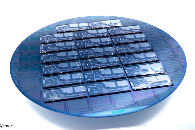cell%20sorter%20wafer Wafer with rectangular cell sorter chips arranged in rows