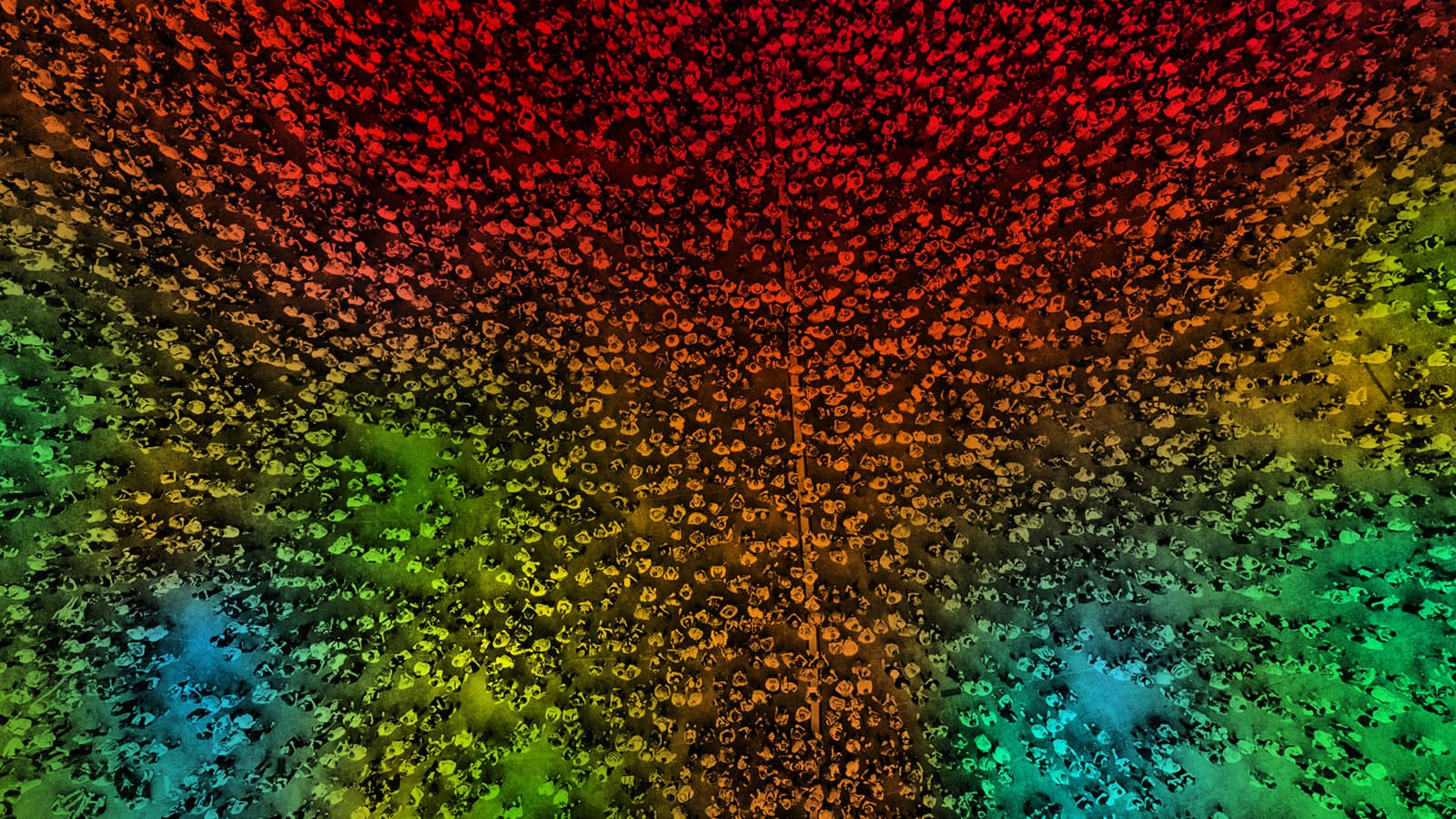 crowdscan-header Colorful aerial view of a dense crowd, with people forming a rainbow-like pattern