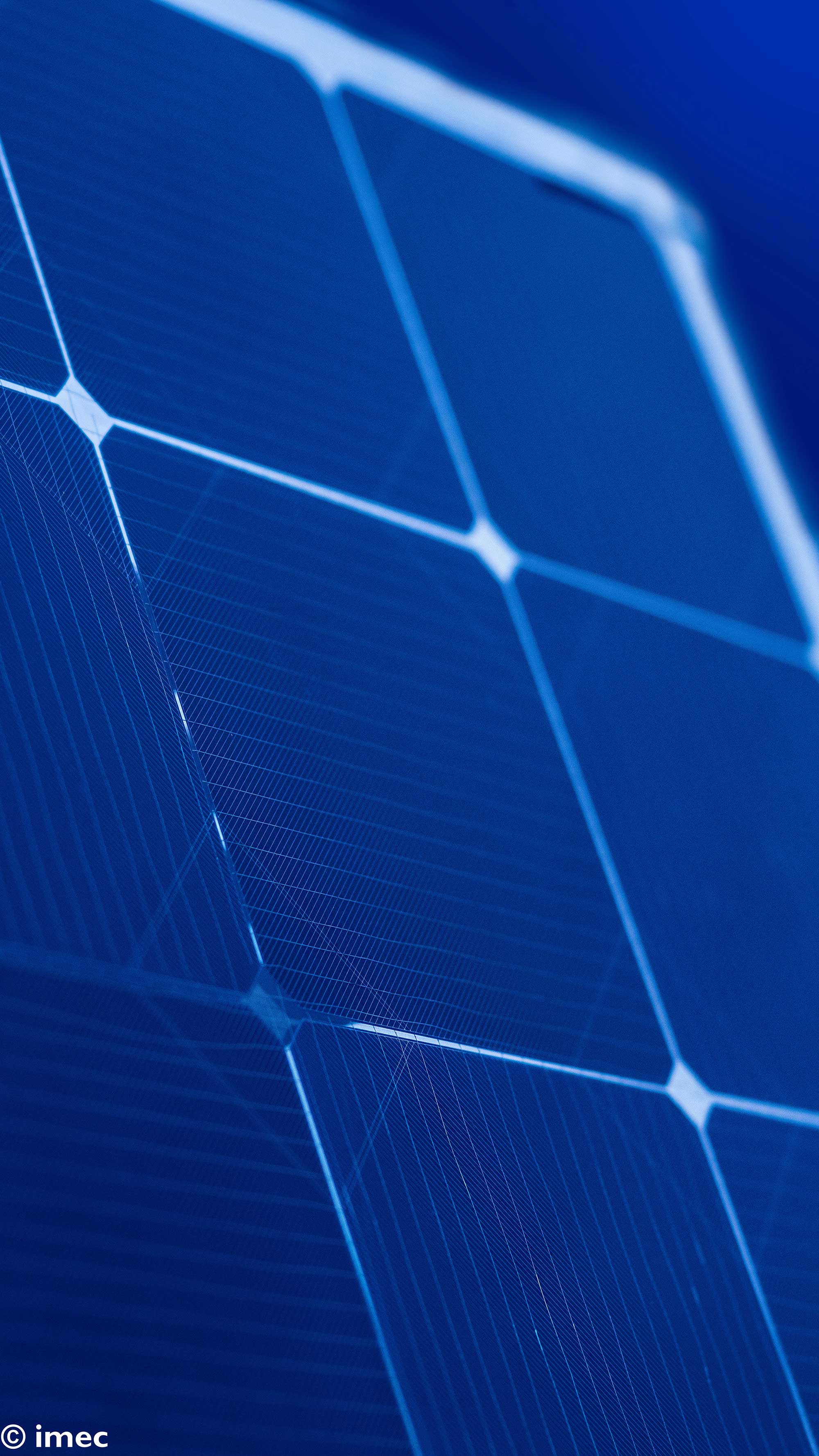 energy-yield-model-bifacial-solarcells003_1 Close-up of blue bifacial solar cells with a grid pattern, shown at an angle.