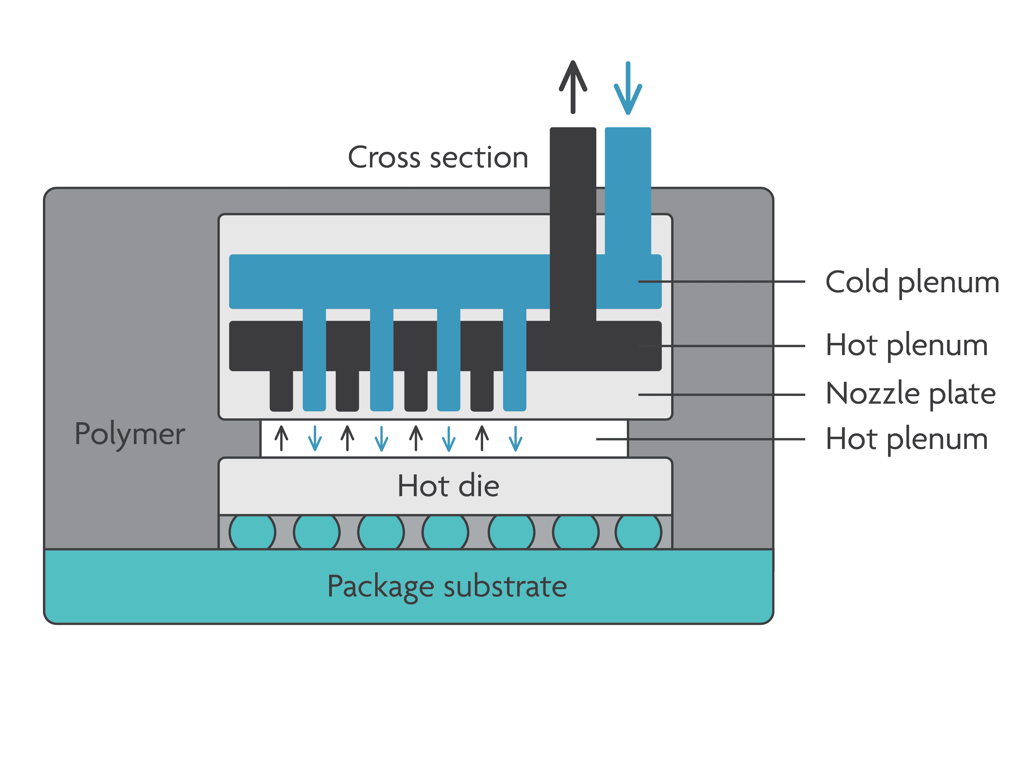 Feb-Magazine-VISUALS-02_0 Cross-section diagram of a 3D-printed chip cooler with cold and hot plenums, nozzle plate, and package substrate