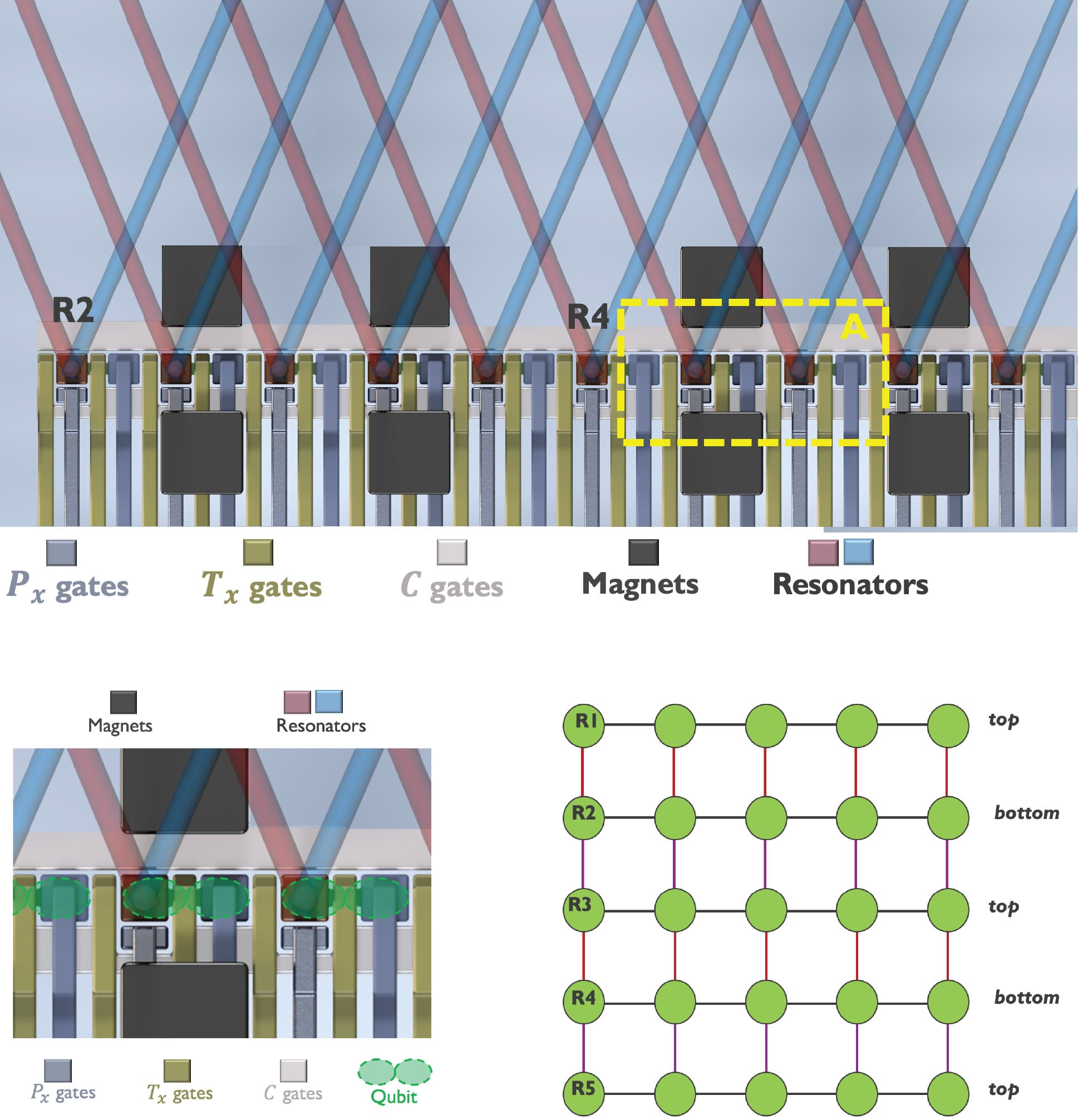 Fig-1-bilinear-array-3pics Diagram of a bilinear 2D qubit array with two parallel rows linked by resonators and gate electrodes