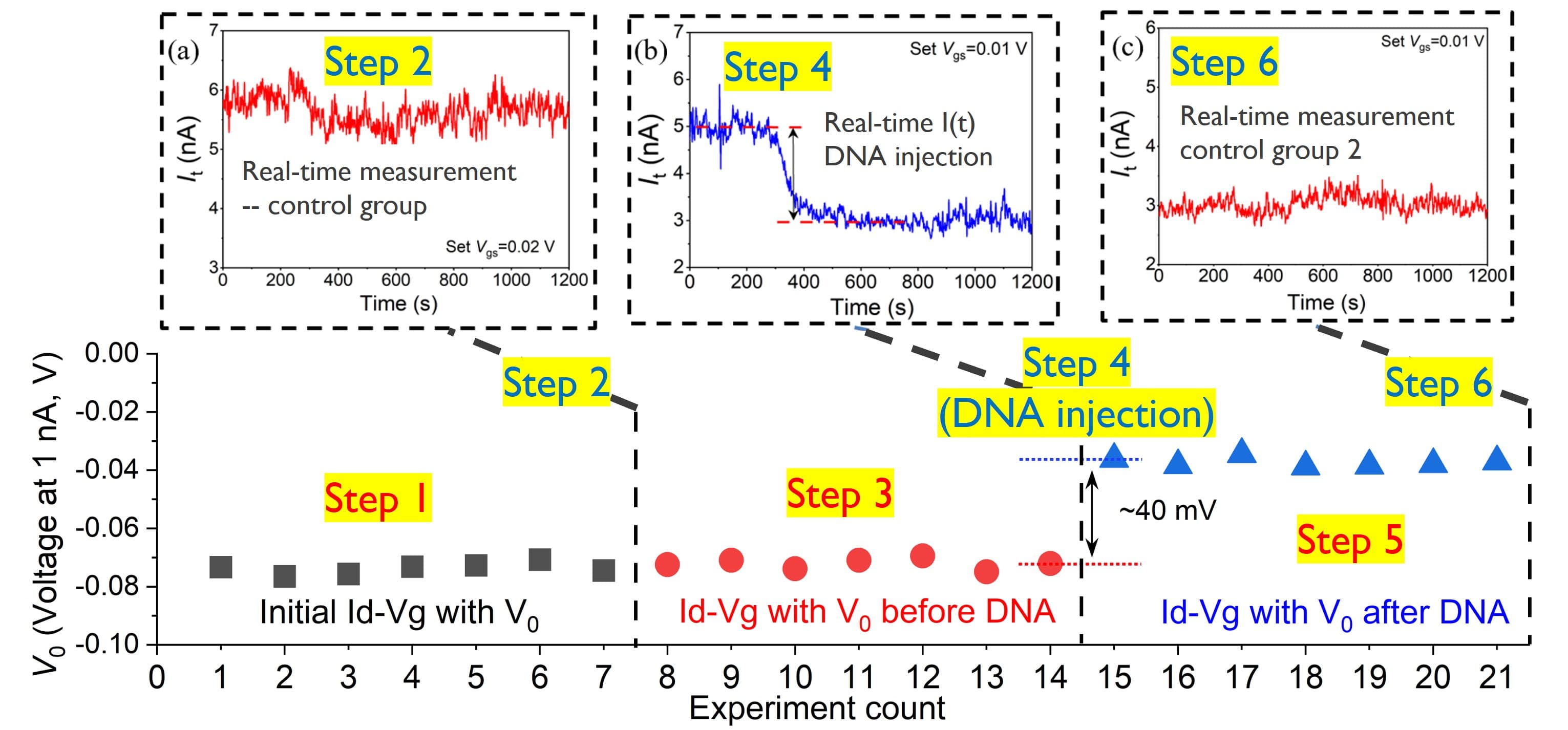 DNA sensing experiment voltage shift chart Chart of a DNA sensing experiment showing a ~40 mV voltage shift after DNA injection, with control and measurement traces.