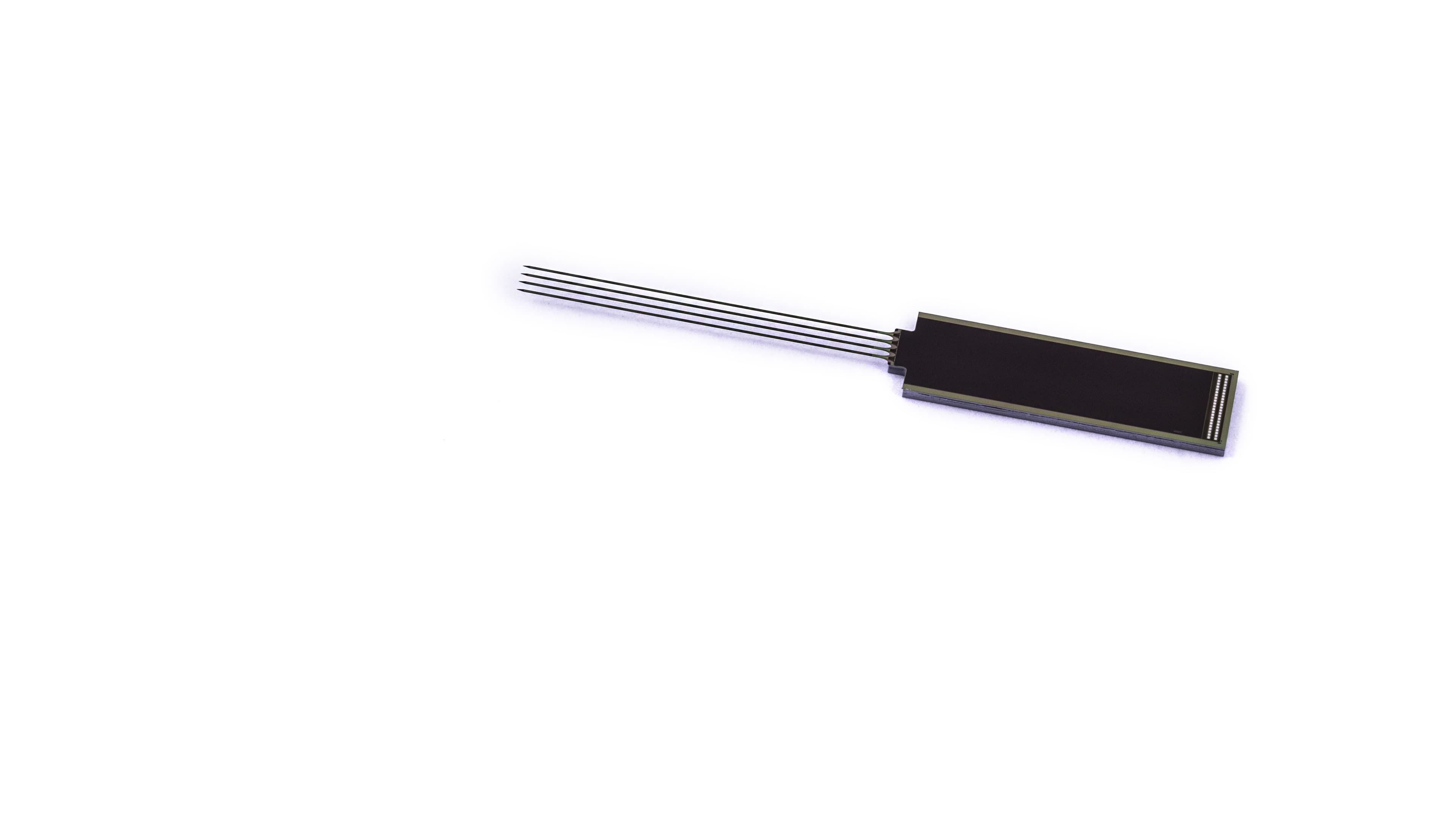 Neuropixels 2.0 four-shank brain probe Four-shank Neuropixels 2.0 brain probe with long needle-like electrodes and a rectangular base