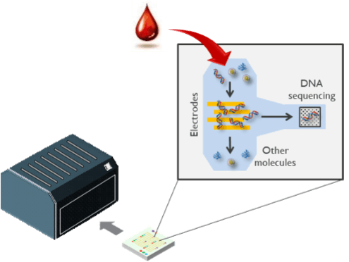Schematic of microfluidic DNA capture chip Schematic of a microfluidic chip using electrodes to capture DNA for sequencing while other molecules are washed away