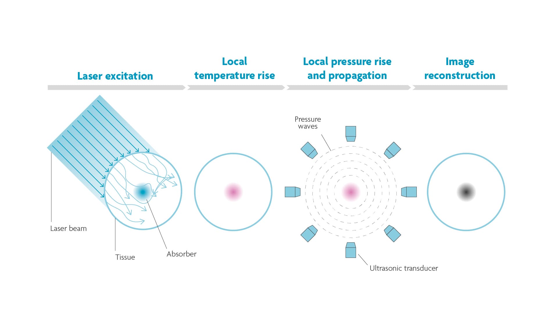 Photoacoustic imaging process diagram Diagram of photoacoustic imaging showing laser pulses heating tissue, pressure waves detected by transducers, and image reconstruction.