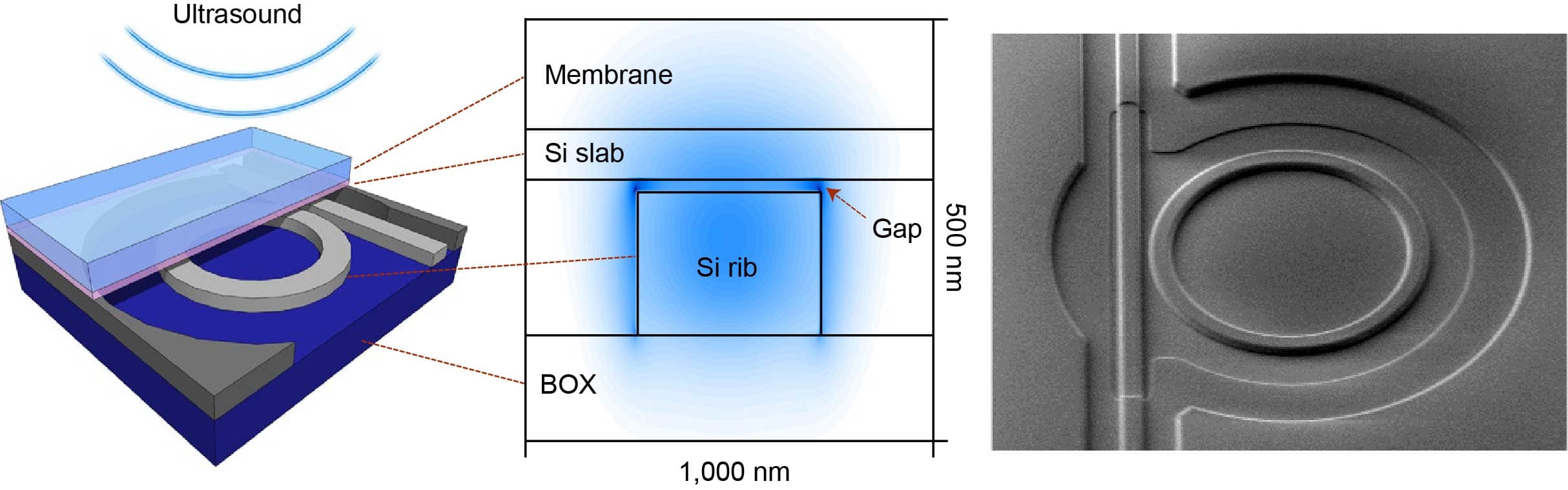 Diagram and microscope image of opto-mechanical ultrasound sensor Diagram and microscope view of an opto-mechanical ultrasound sensor with a circular membrane and silicon structure.