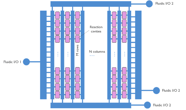 Diagram of microfluidic chip with reaction cavities and fluid channels Diagram of a microfluidic chip with reaction cavities, channels, and fluid inlets and outlets