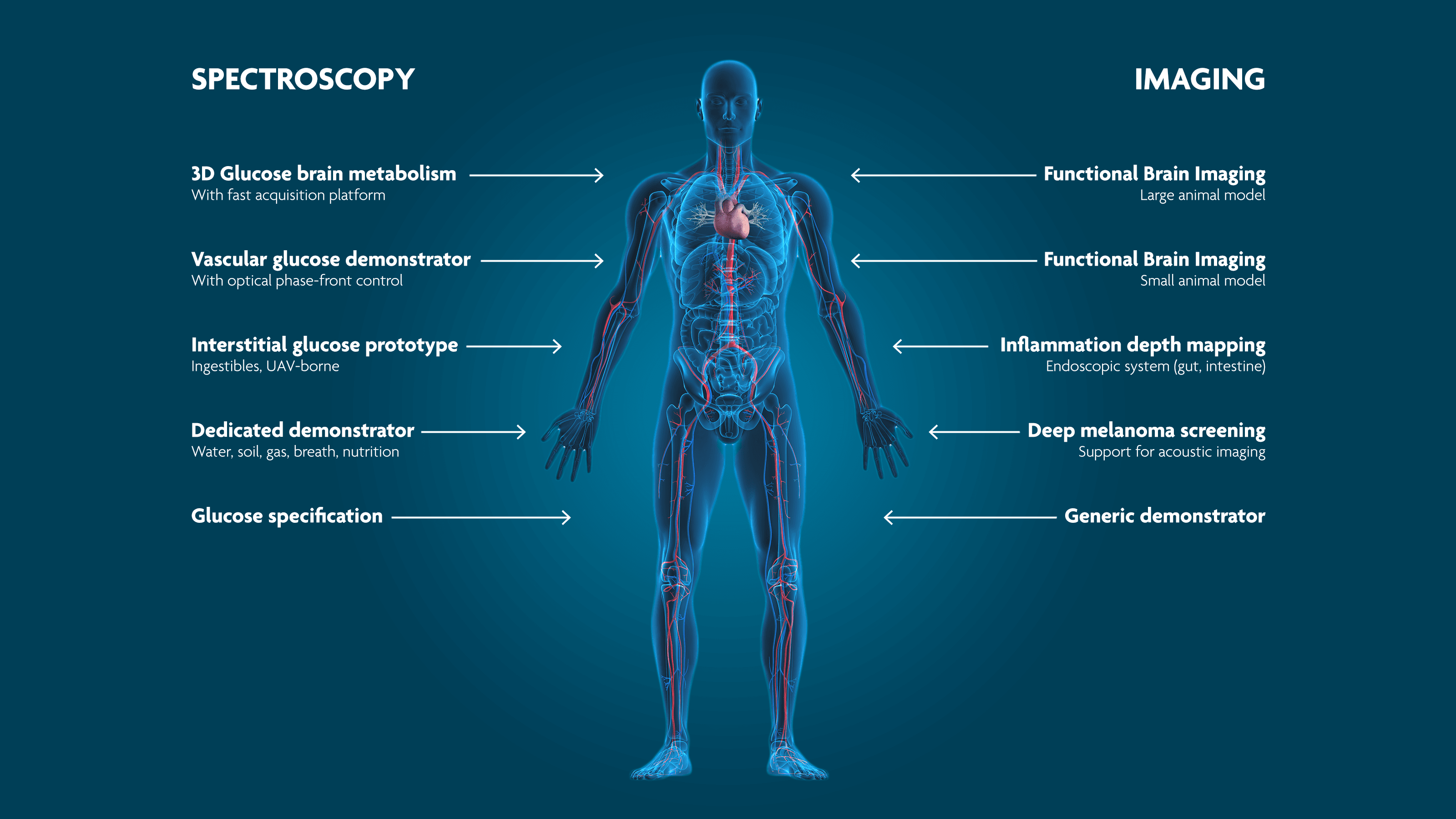 Diagram of human body with photoacoustic spectroscopy and imaging applications Diagram of a human body showing photoacoustic spectroscopy and imaging applications for glucose, inflammation, and brain imaging.