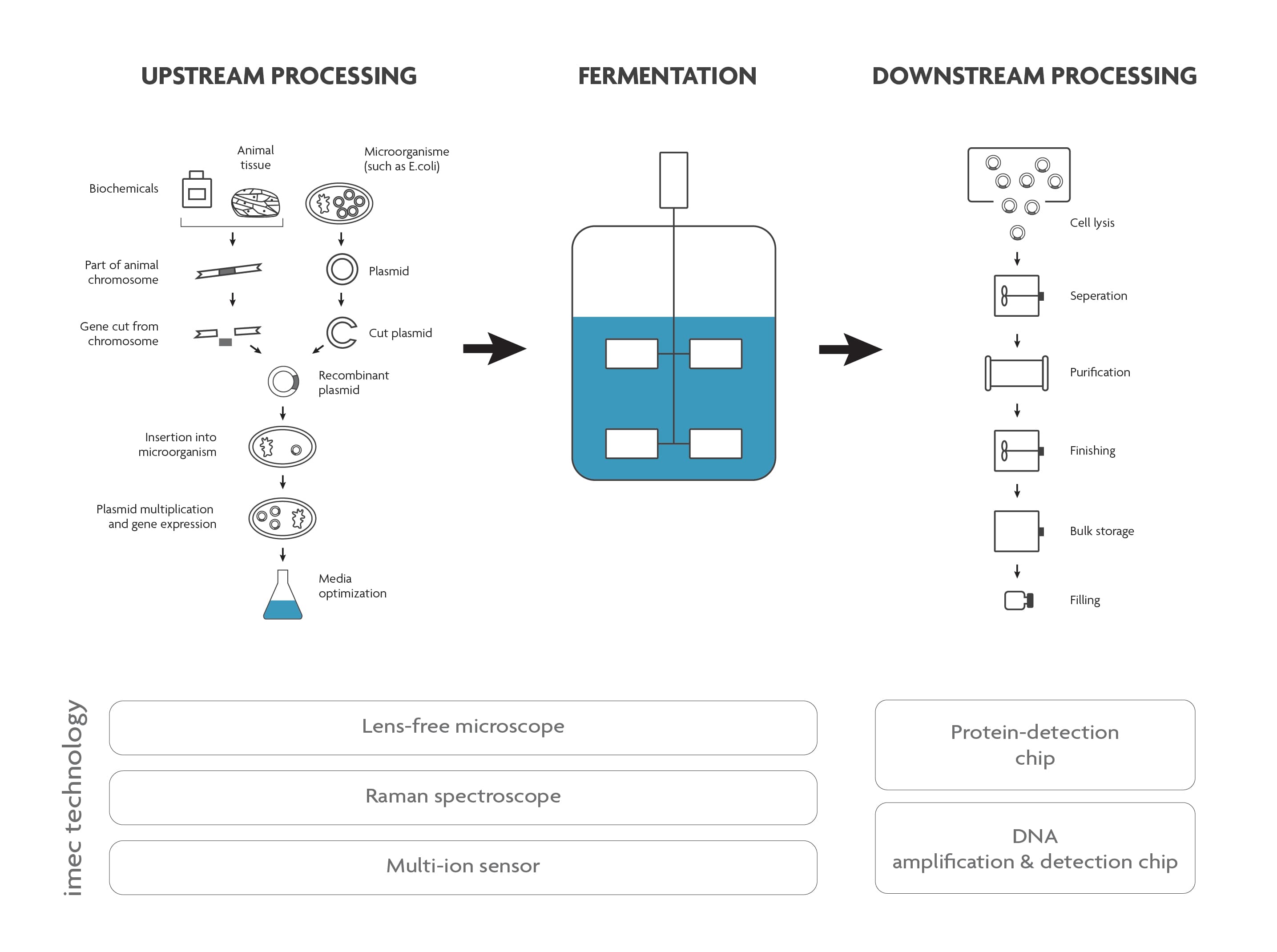 fig10_Figuur_bioprocesflow_incl_imec_techn_0 Diagram of bioprocessing steps with imec chips for monitoring fermentation and downstream processing.
