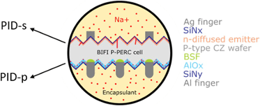 Fig2 Diagram of bifacial solar cell PID in a glass/glass module, showing sodium ions migrating around the cell layers.