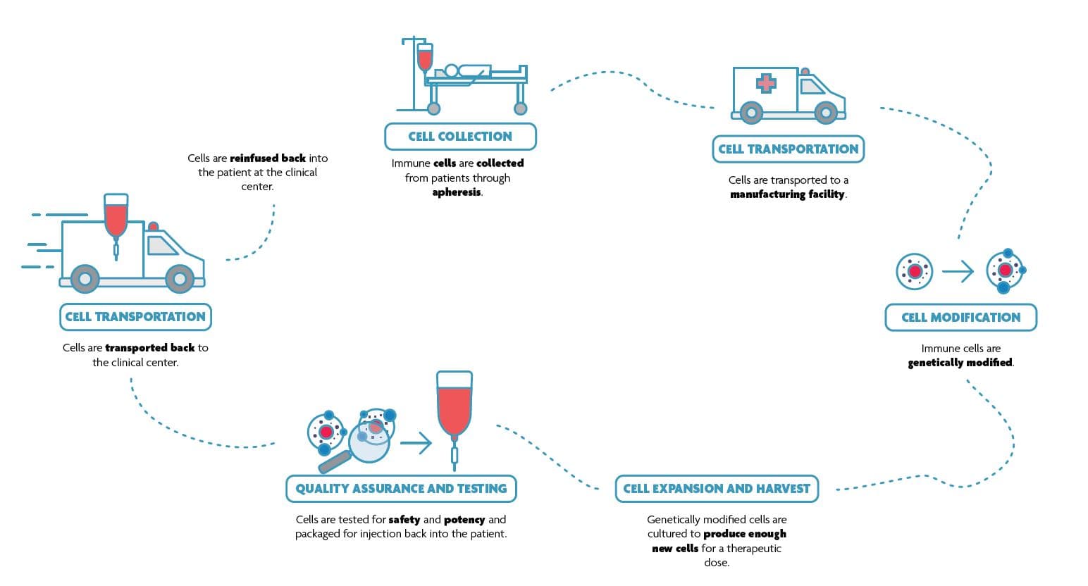 CAR T cell therapy workflow diagram Diagram of the CAR T cell therapy workflow, from cell collection and transport to modification, expansion, testing, and reinfusion