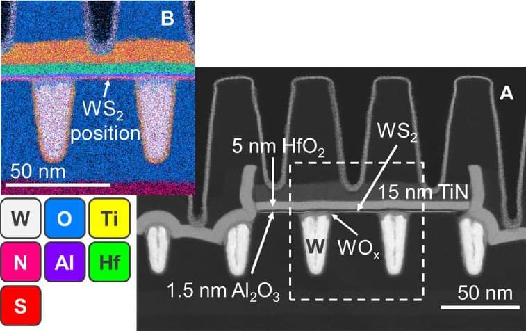 Figure%201%20-%20HAADF-STEM%20and%20EDS%20analysis%20for%20a%20WS2%20device%20with%2050nm%20CPP Cross-sectional electron microscope view of a WS2 transistor with labeled layers and elemental map inset