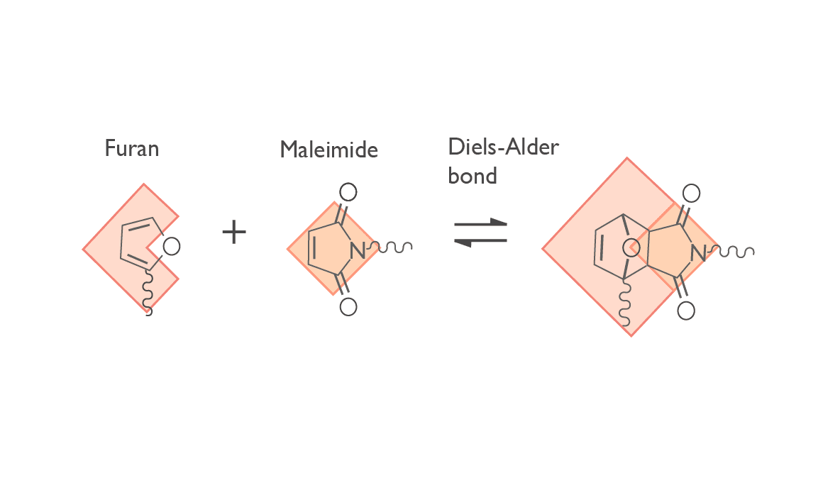 Figure%201_Part%20A Chemisch diagram dat laat zien hoe furan en maleimide een reversibele Diels-Alderbinding vormen