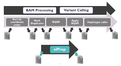Diagram of variant calling pipeline with elPrep parallel processing Diagram of a variant calling pipeline with sequential steps replaced by elPrep parallel processing.