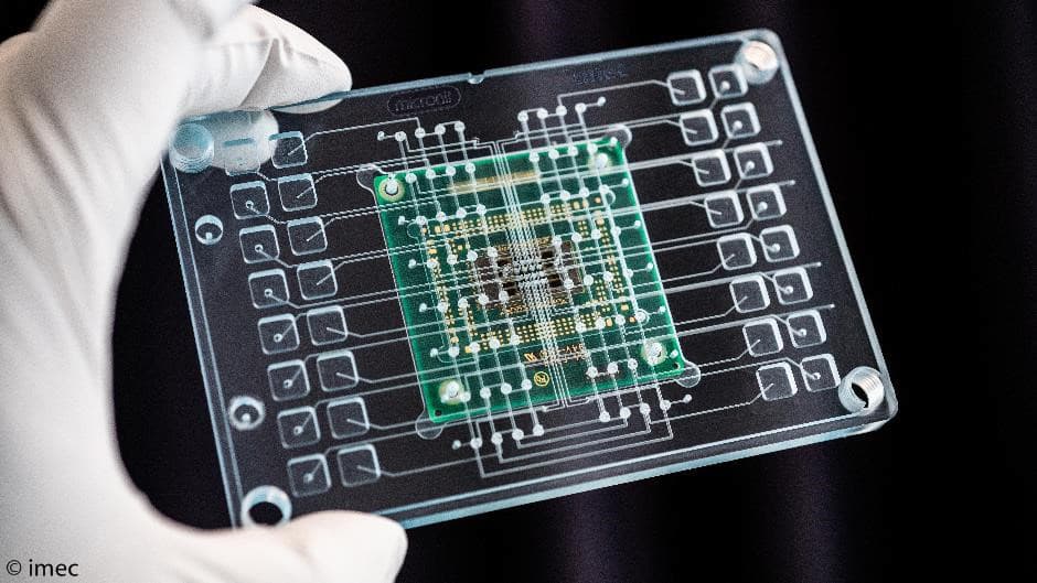Gloved hand holding transparent chip carrier with green multi-electrode chip Gloved hand holding a transparent chip carrier with a green multi-electrode chip and circuit traces