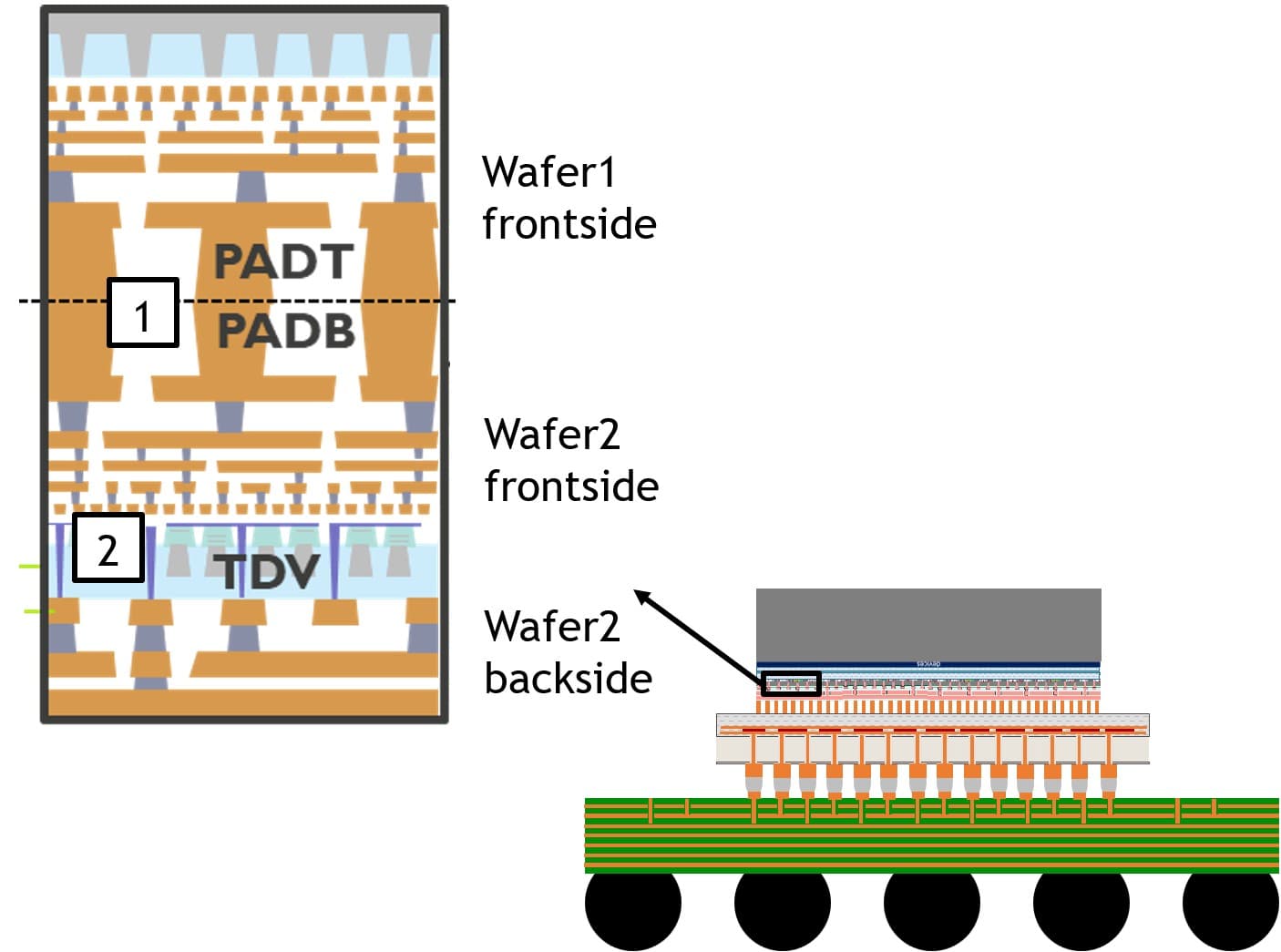 Schematic of face-to-face hybrid bonding and backside connectivity between wafers Schematic of face-to-face hybrid bonding and backside connectivity between two wafers, with PADT, PADB and TDV labels.