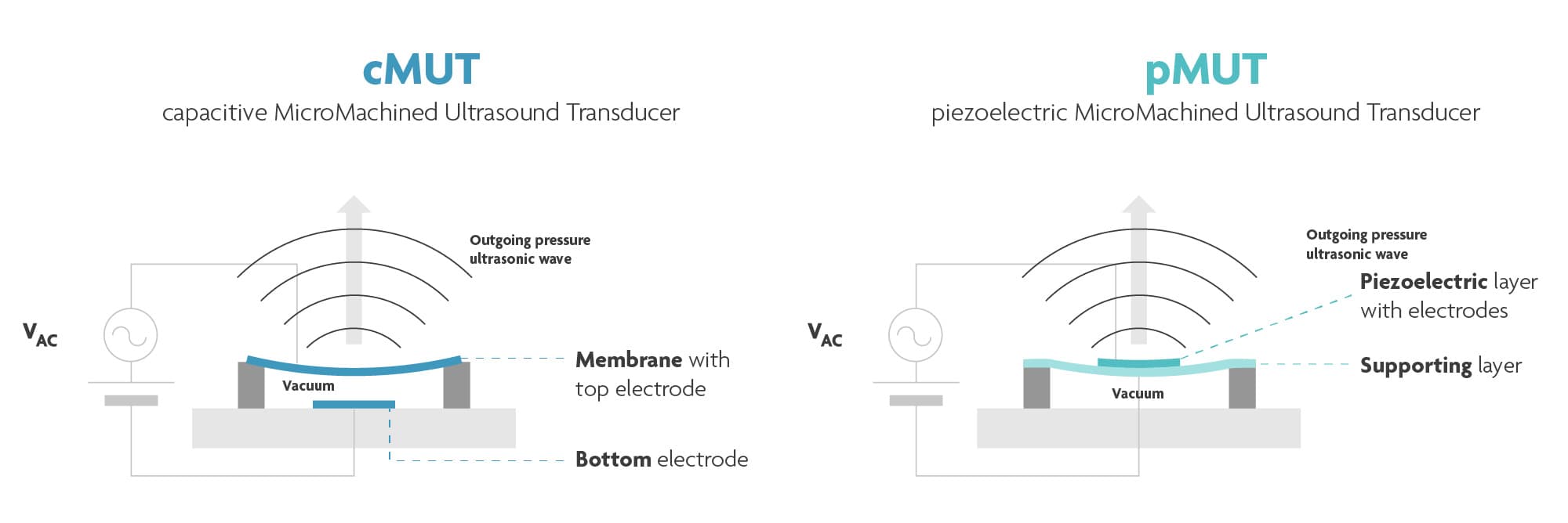 Figure%203%20-%20pMUT%20and%20cMUT_FINAL Diagram dat cMUT- en pMUT-ultrageluidstransducers vergelijkt, met gelabelde lagen en uitgaande drukgolven