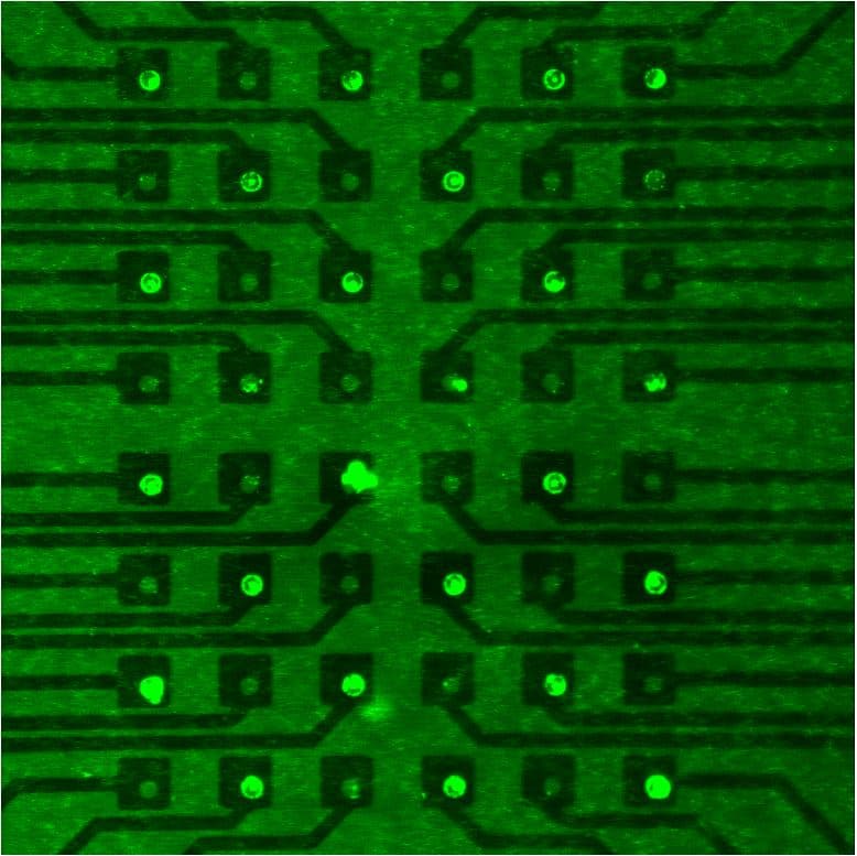 Figure%204%20-%20Colloidal%20memory%20-%20checkboard%20type%20arrangement%20of%20electrodes Fluorescent green nanoparticles arranged on a checkerboard electrode pattern