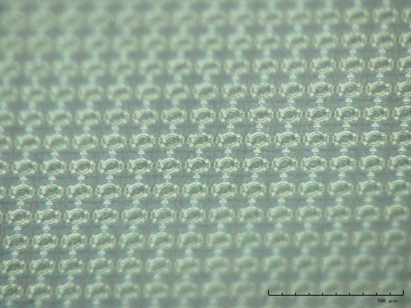 Figure%204%20-%20pMUT%20array_FINAL Microscoopbeeld van een pMUT-array met herhalende ronde sensorelementen
