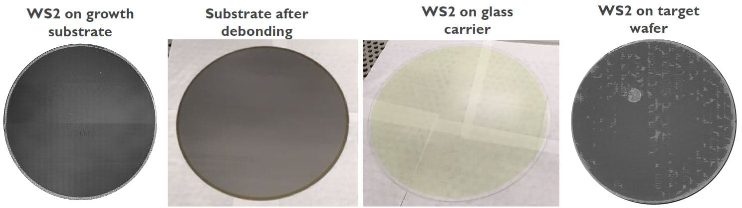 Figure_3_-_growth_and_layer_transfer_0 Four-panel wafer sequence showing WS2 on the growth substrate, after debonding, on a glass carrier, and on the target wafer