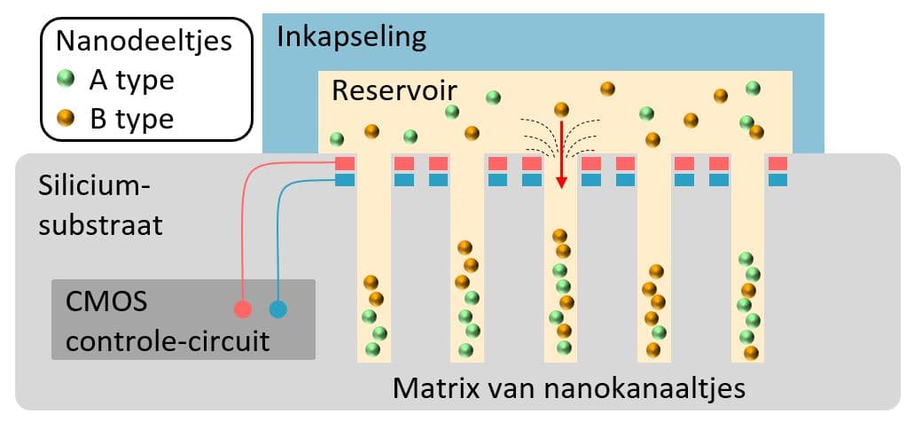 Figuur%203%20-%20Colloidaal%20geheugen%20%28NL%29 Schematische voorstelling van colloïdaal geheugen met nanodeeltjes in nanokanalen op een siliciumsubstraat