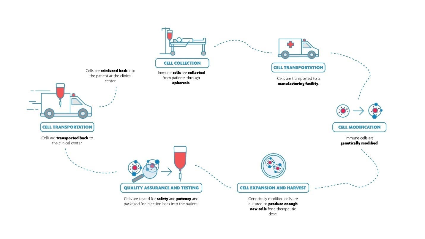 Cell therapy workflow diagram Diagram of a cell therapy workflow, from cell collection and transport to modification, expansion, testing, and reinfusion.