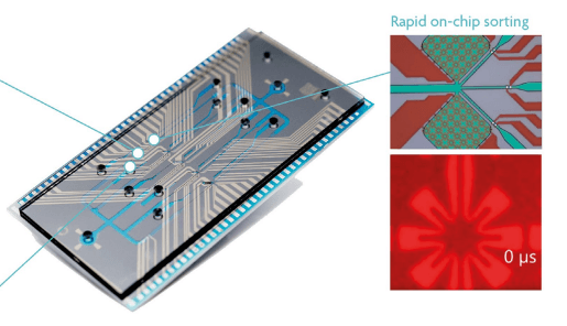 first%20use%20of%20cell%20sorter%20technology%20in%20a%20clinical%20setting Concept illustration of a microfluidic cell sorter chip with integrated microheaters pushing cells into a side channel