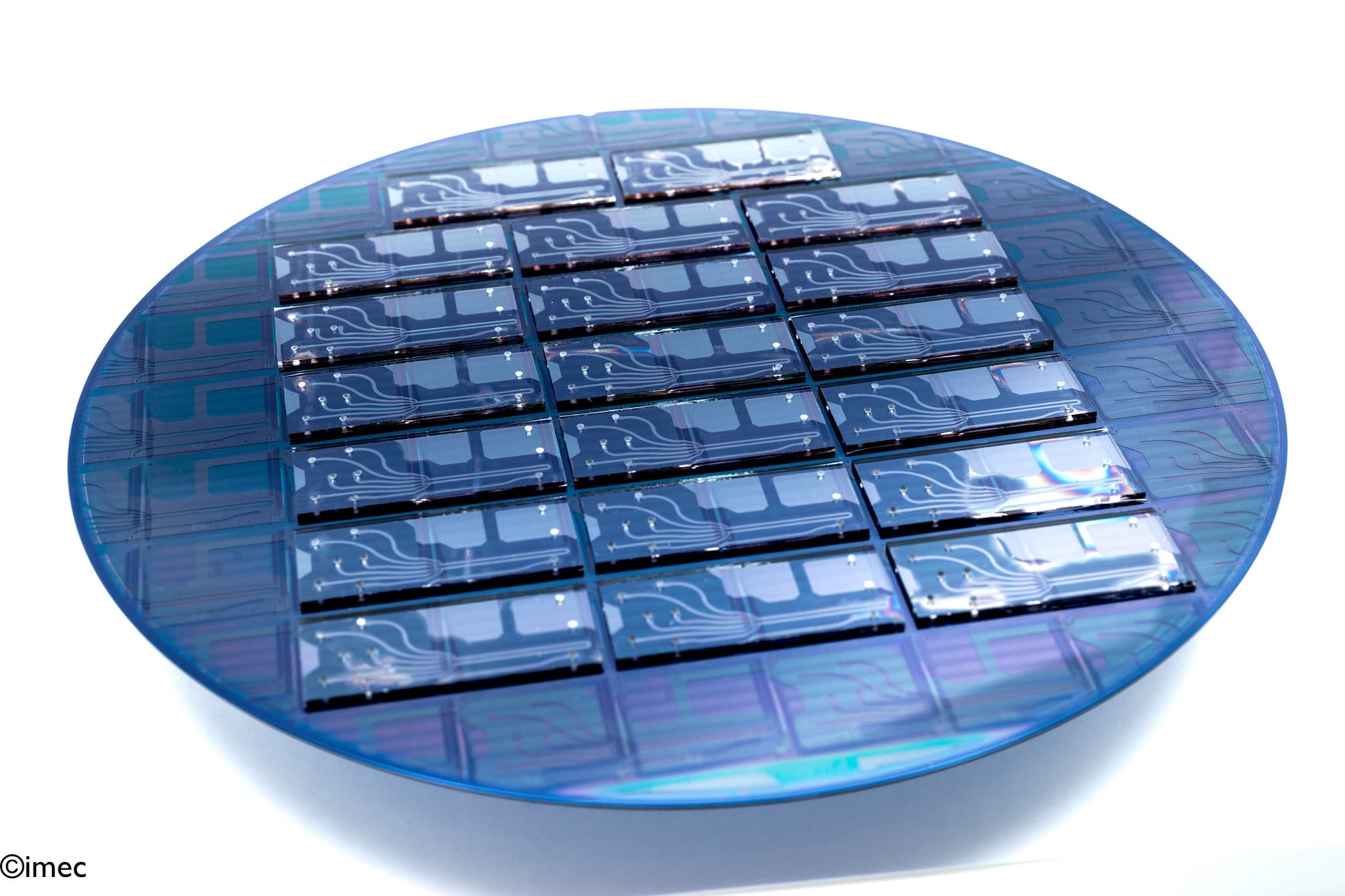 Silicon wafer with cell sorter chips Silicon wafer with multiple cell sorter chips arranged in rows