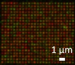 Fluorescence%20microscopy%20nanoscale%20holes Fluorescence microscopy image of a nanoscale hole array with red and green spots and a 1 µm scale bar.