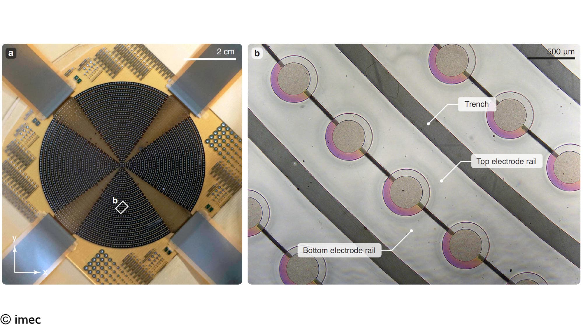 FPD%20pMUT%20array Microscope view of a large circular pMUT array with concentric rings and a close-up of round ultrasonic elements and electrode rails.