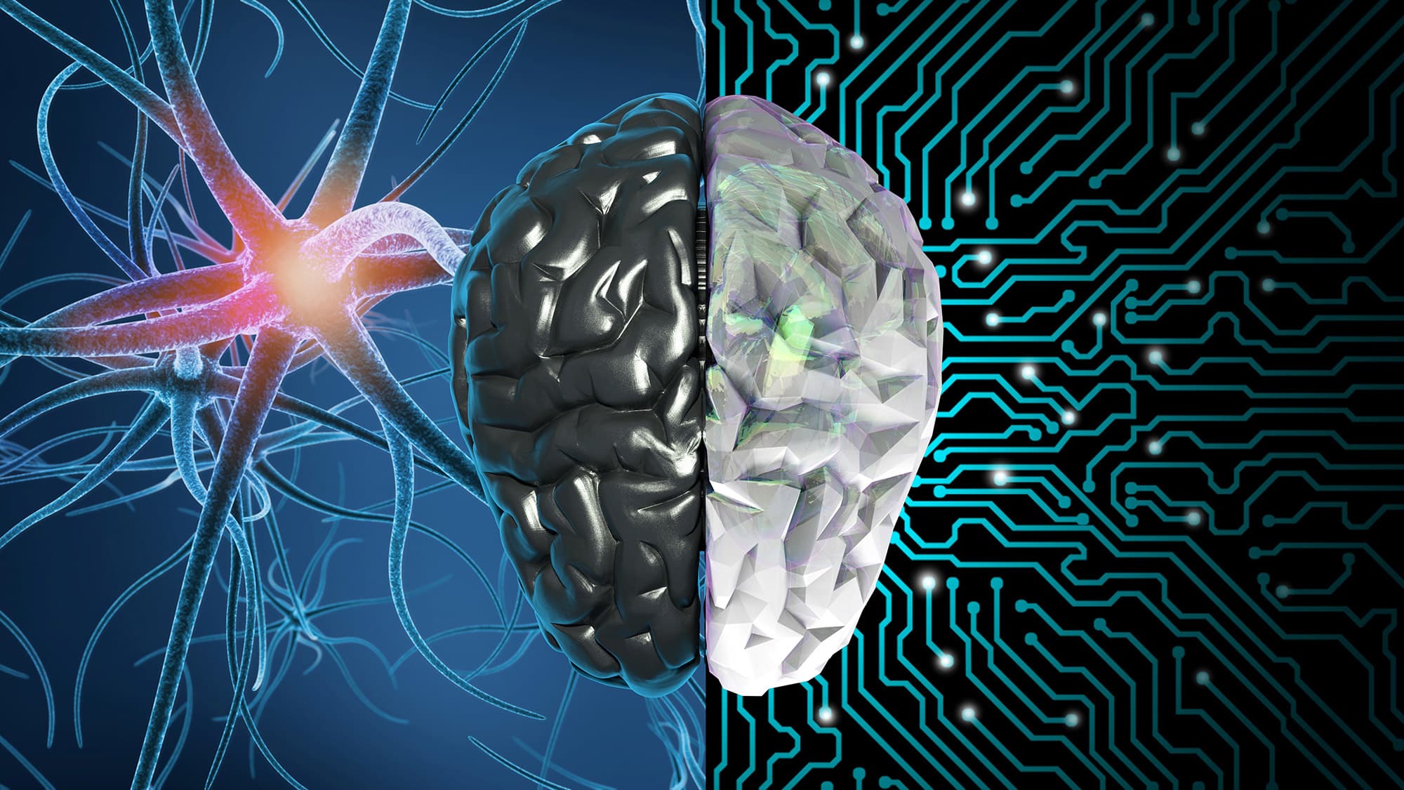 GettyImages-1319030434-Fig-2_0 Gestileerde hersenen, gesplitst tussen neuronen en een printplaat, als symbool voor brein-chiptechnologie