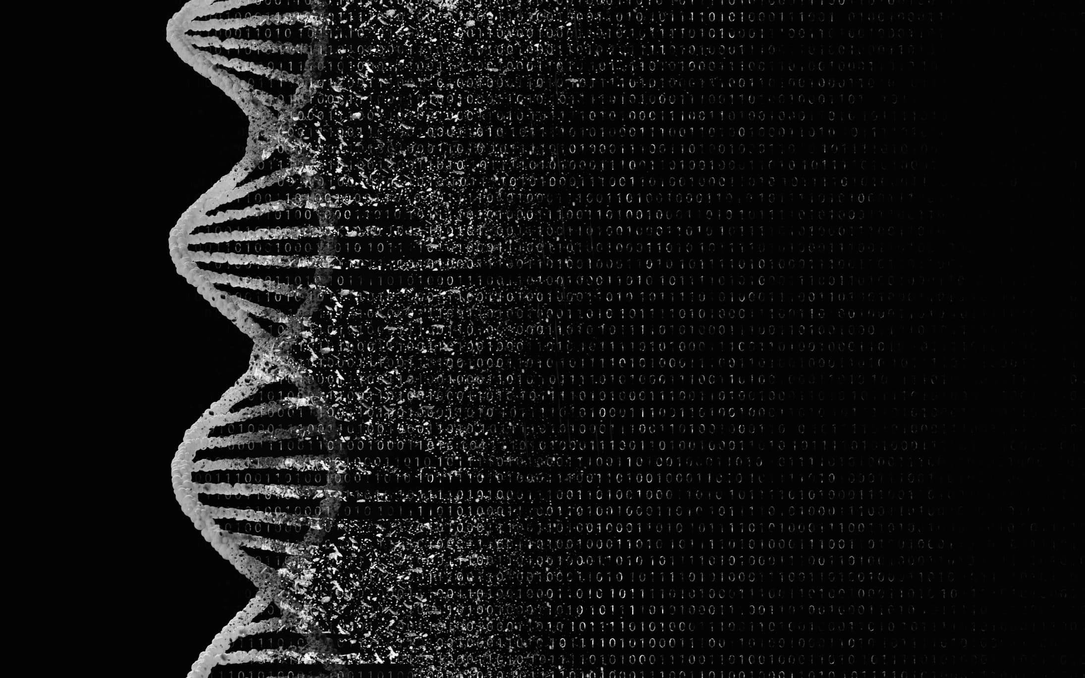 GettyImages-1477691778 Stylized DNA double helix dissolving into binary code on a black background