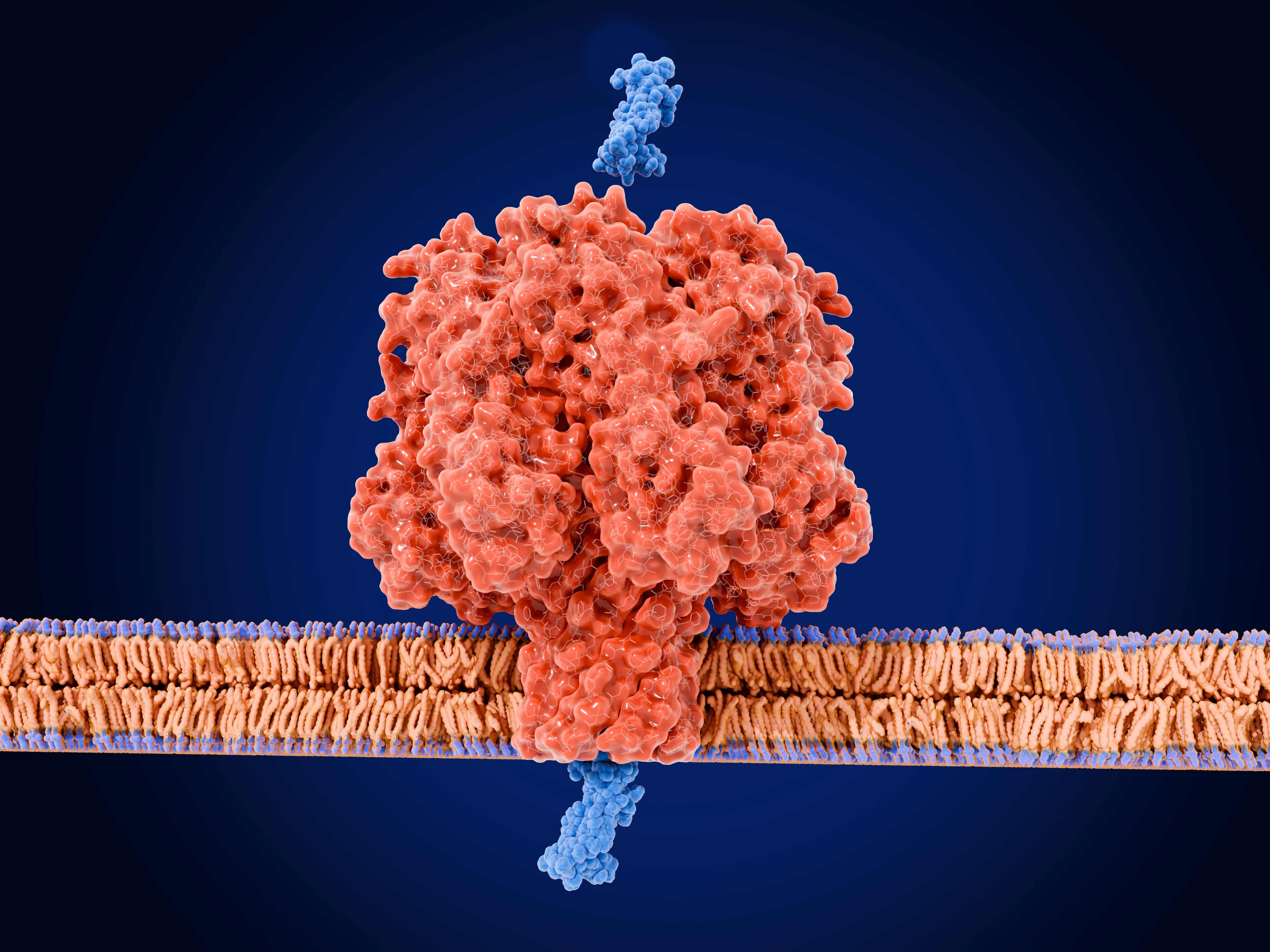 GettyImages-2220593511 Moleculaire structuur ingebed in een celmembraan, ter illustratie van een nanopore-eiwit