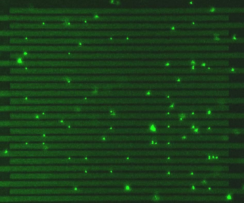 Header Groene lichtpuntjes verspreid over horizontale lagen, als een abstract beeld van vloeistofgeheugen