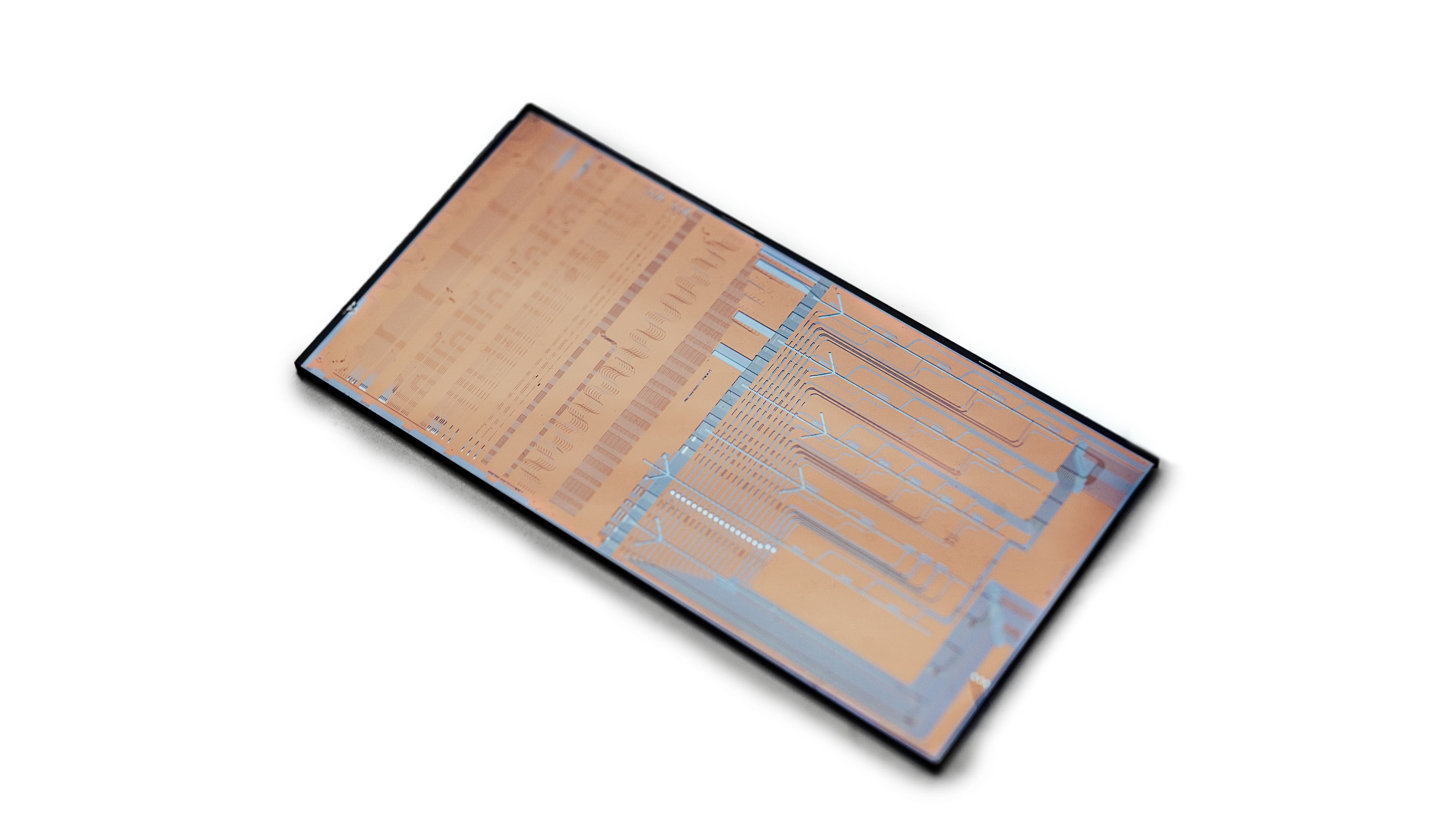 On-chip flow cytometer chip On-chip flow cytometer chip shown on a white background